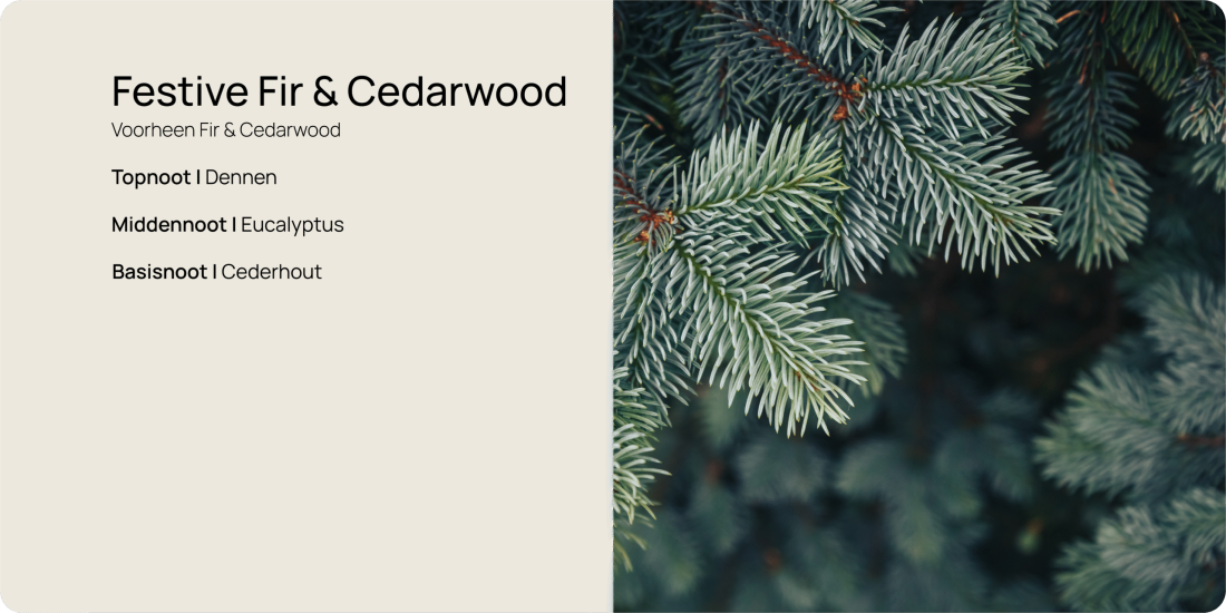 Kerstgeuren website2